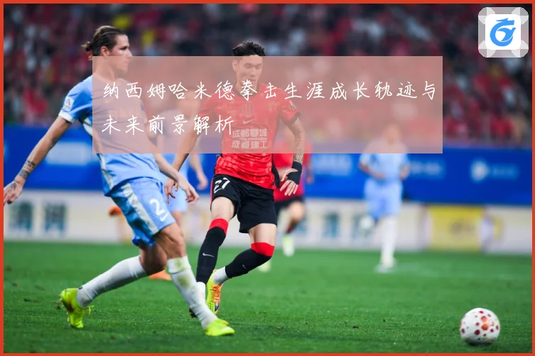 纳西姆哈米德拳击生涯成长轨迹与未来前景解析