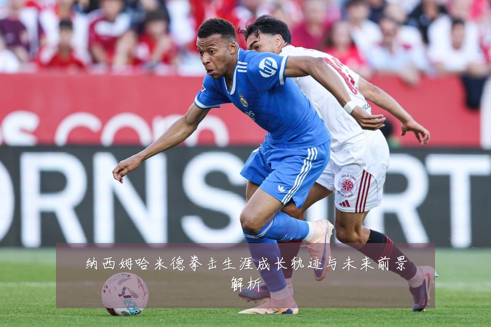 纳西姆哈米德拳击生涯成长轨迹与未来前景解析