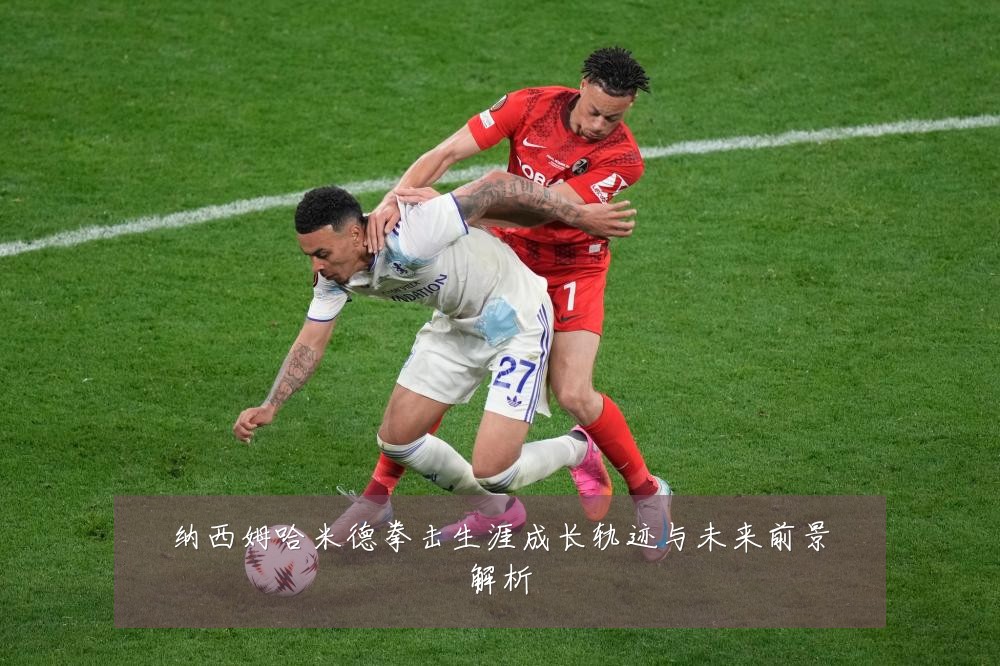 纳西姆哈米德拳击生涯成长轨迹与未来前景解析